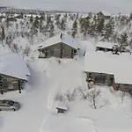 Sielikkoe Arctic Log *