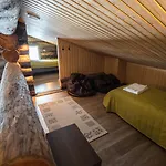 Sielikkoe Arctic Log