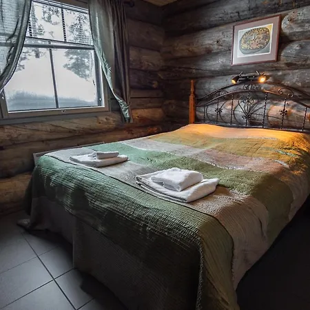Sielikkoe Aurora Log