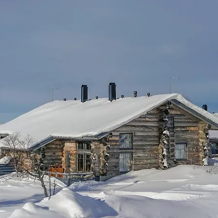 Sielikkoe Aurora Log
