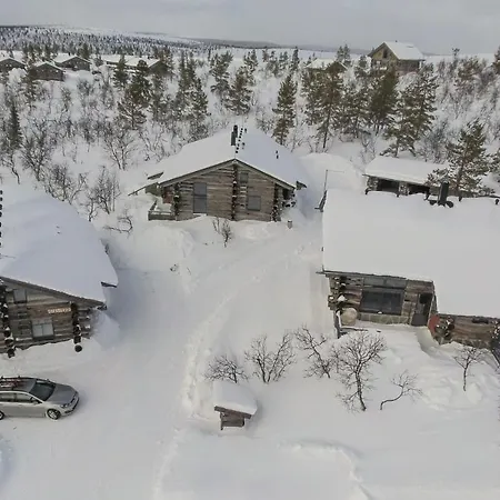 Sielikkoe Aurora Log *