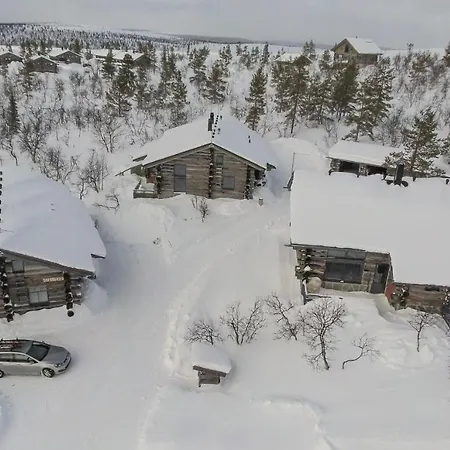 Sielikkoe Arctic Log *