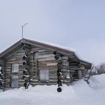 Sielikkoe Aurora Log *