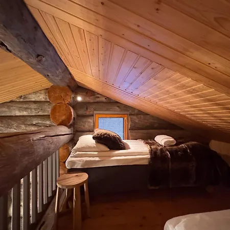 Sielikkoe Arctic Log