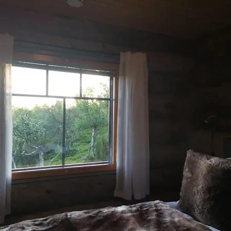 Sielikkoe Arctic Log *