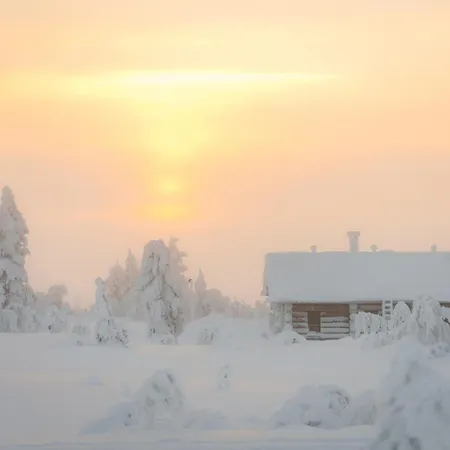 Sielikkoe Arctic Log
