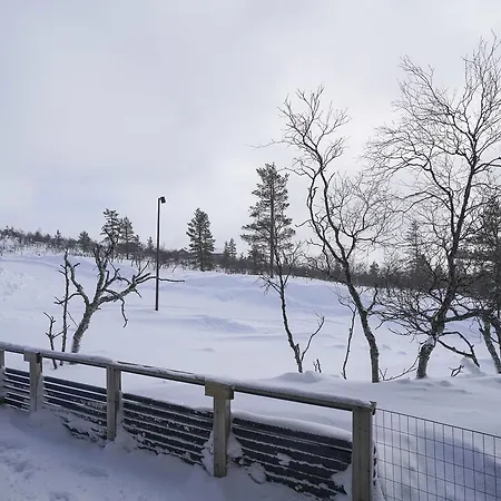 Sielikkoe Aurora Log * Saariselka