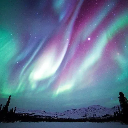 Sielikkoe Arctic Log Domek alpejski Saariselkä