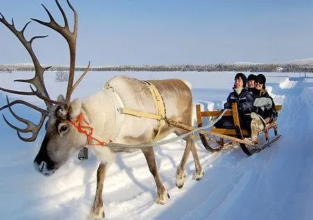 Sielikkoe Arctic Log Horská chata